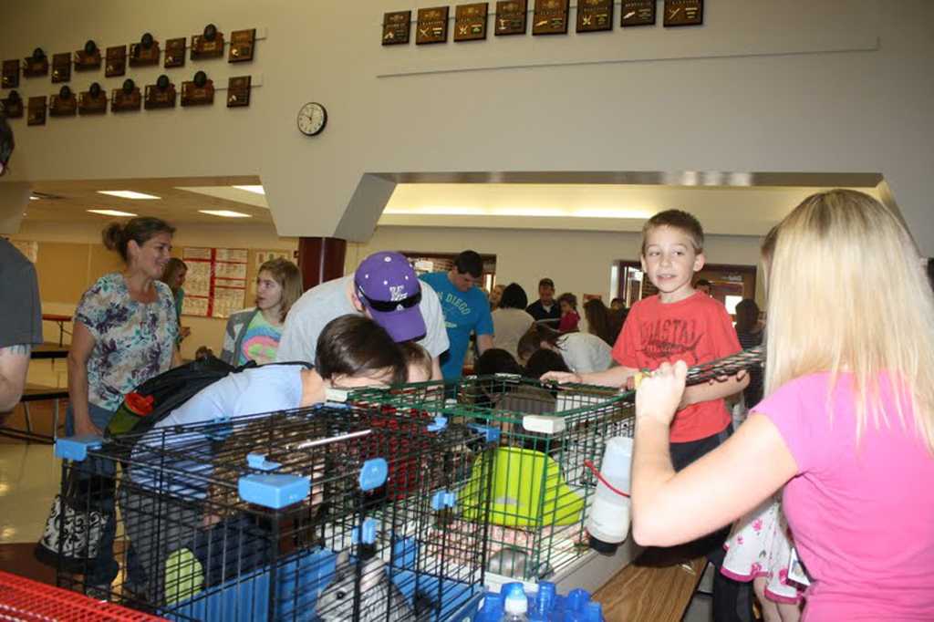 Environmental Ed Students Participate in PTA Animal Event