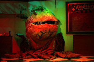 Little Shop of Horrors cast to perform at Blue Star Program on May 24
