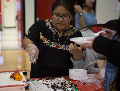 International Night