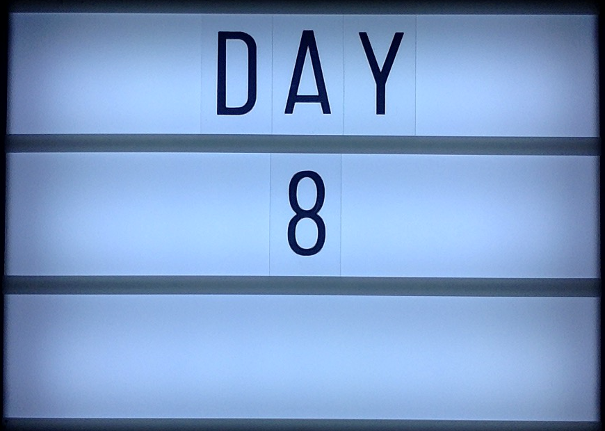 Day+8